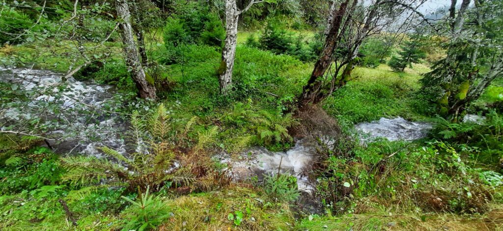 6 Europejski Kongres Rangersów w Rumunii, 6-10.10.2025